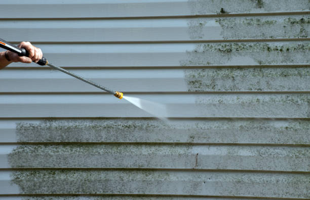 Best Affordable Pressure Washing  in Darlington, WI