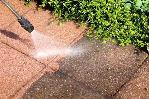 Best Residential Pressure Washing Services  in Darlington, WI